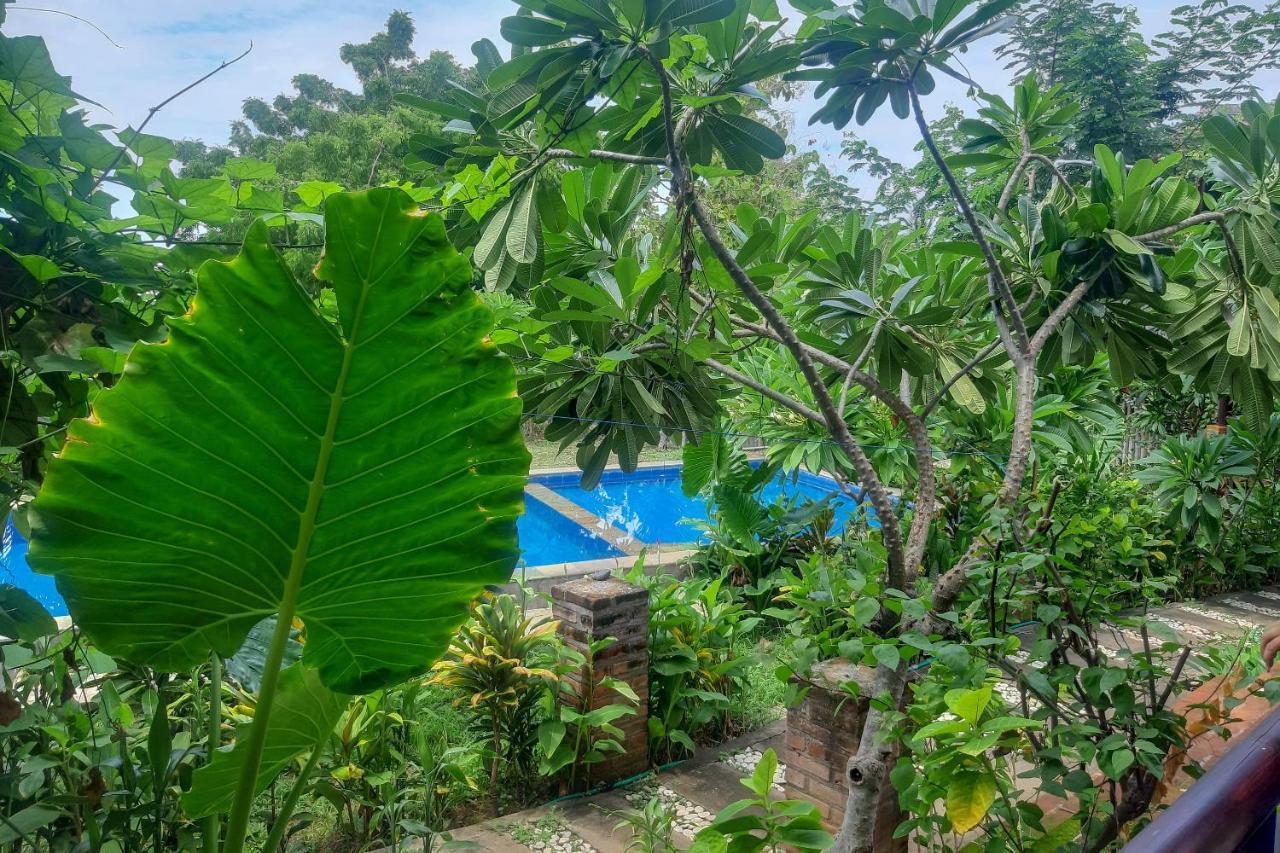 Oyo 3070 Villa Lovina Eco Lodge Buitenkant foto
